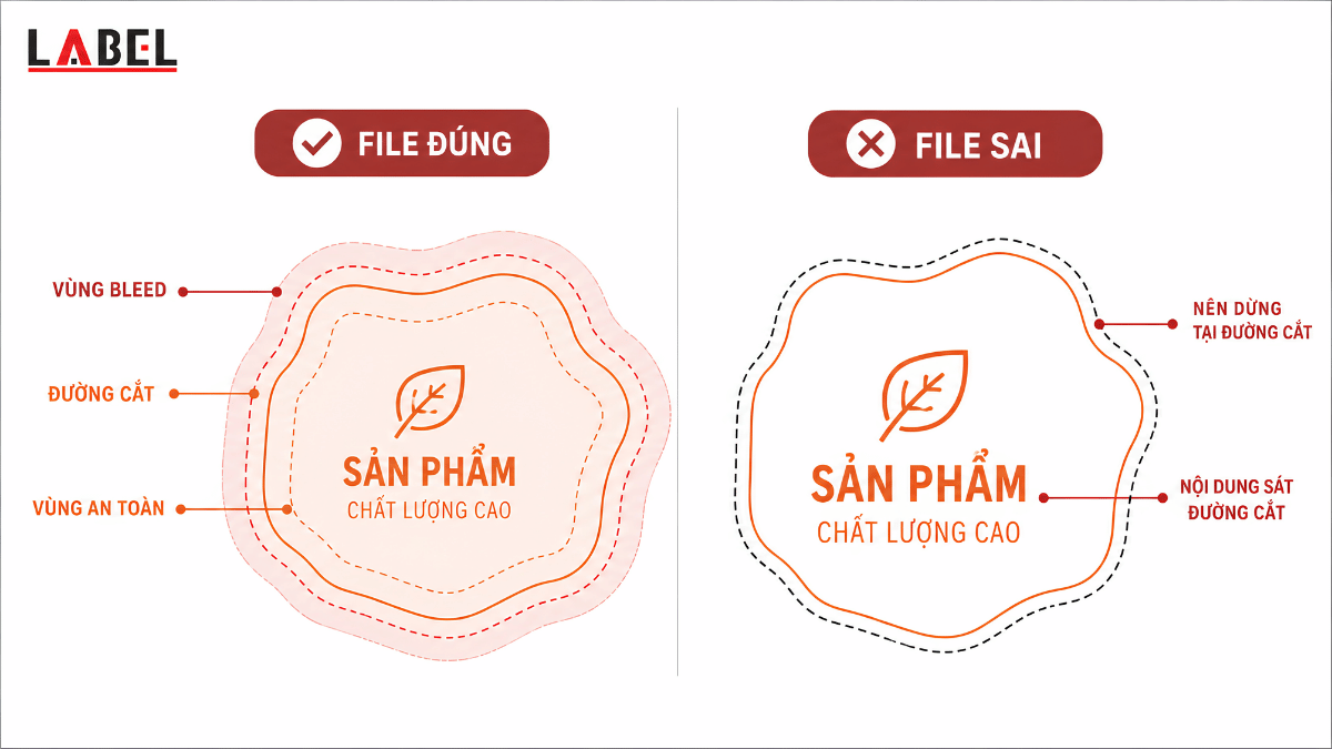 so-do-bleed-duong-be-vung-an-toan