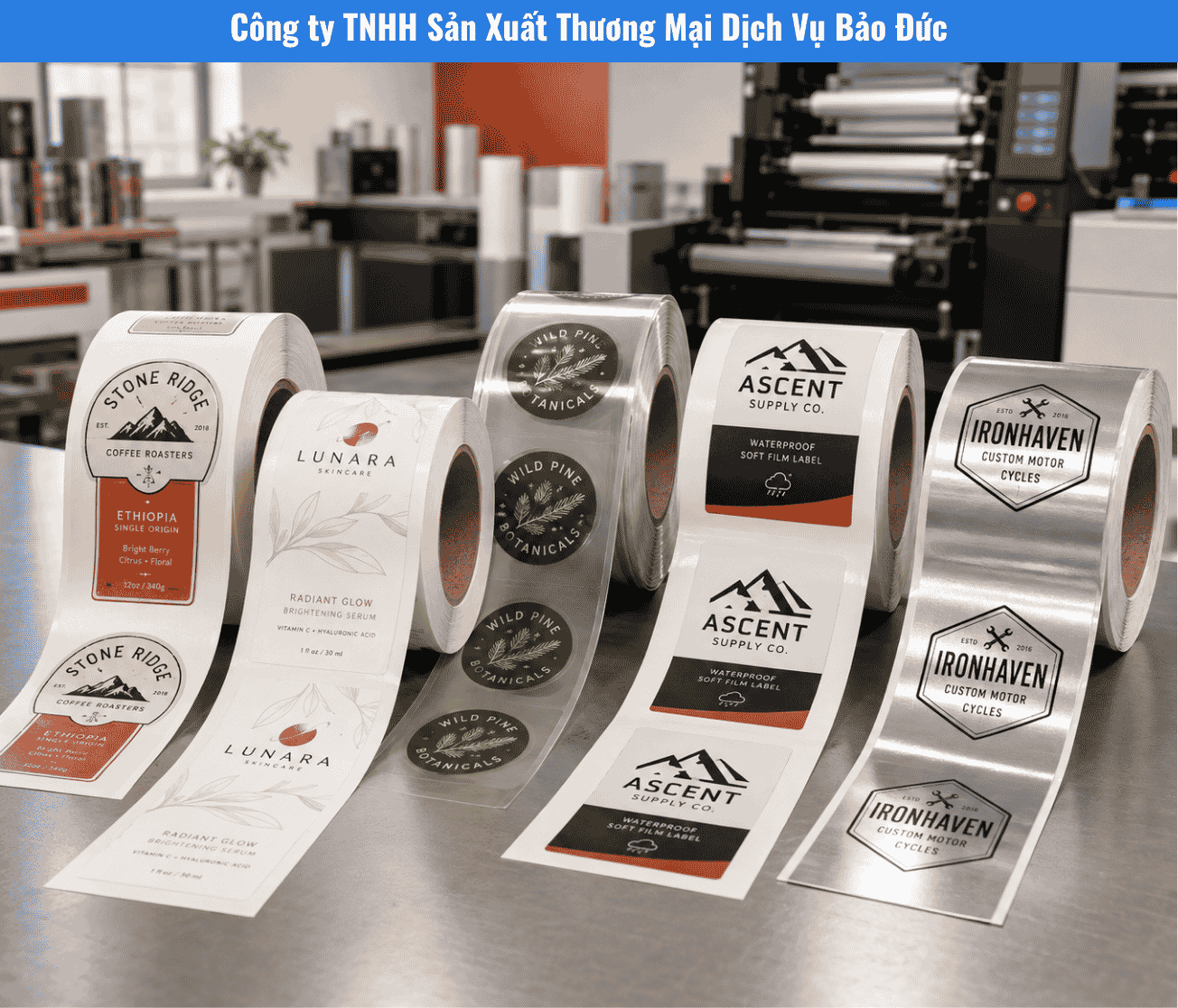 Decal Cuộn PP, PVC, PET, Giấy Và Xi Bạc: Bảng So Sánh Chọn Vật Liệu