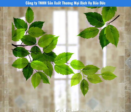 Dịch Vụ In Decal 3D Tại Long An Uy Tín – Giá Tốt